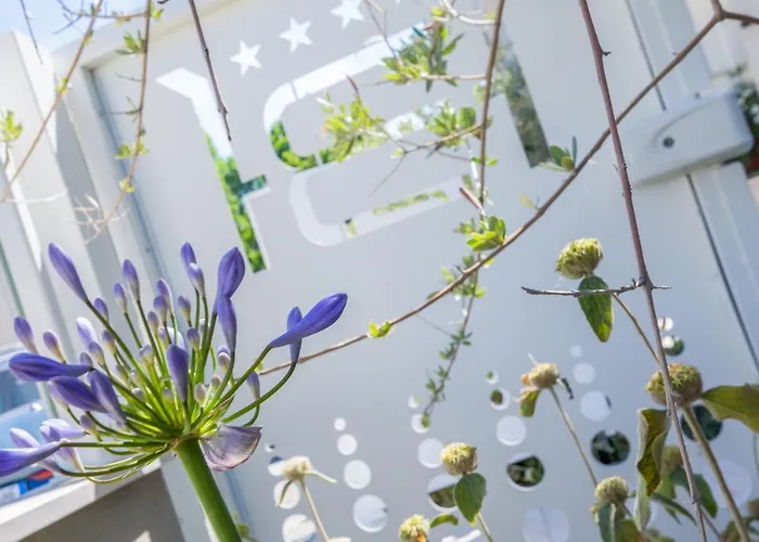 מלון Baby רימיני